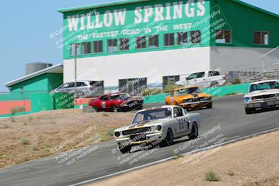 media/May-07-2022-Cobra Owners Club of America (Sat) [[e681d2ddb7]]/Blue/Session 1 (Turn 4)/